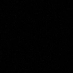 Meet your Posher, Dylan